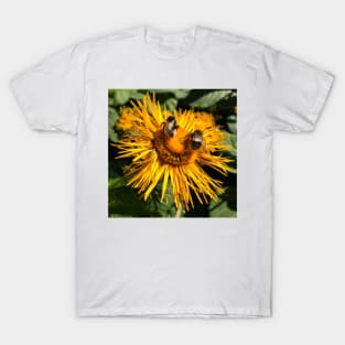 Two bees, or not two bees, that is the question - Square crop T-Shirt